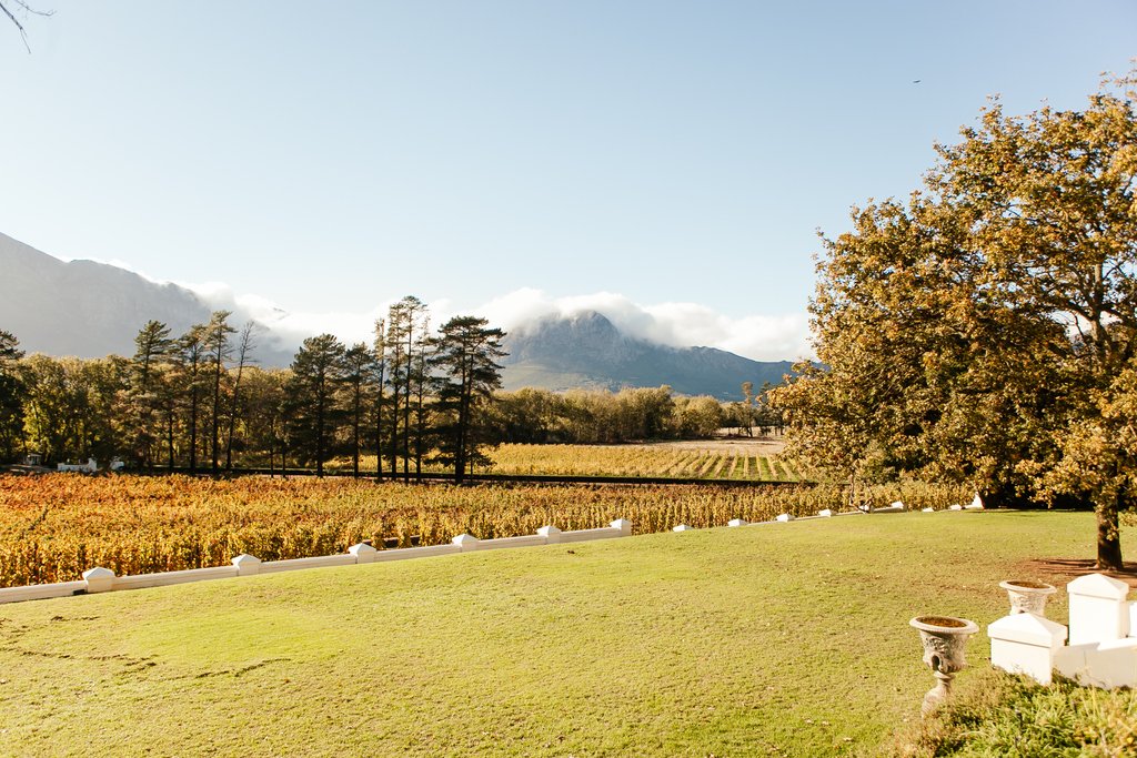 RicketyBridgeW's tweet photo. Come &amp; enjoy our 5km walking/running trail on the estate. There is a map of the route in the #WineTastingCentre (open on Mondays - Thursdays from 10h00 - 16h00) or send an email to marketing@ricketybridge.com &amp; we'll share the map with you. 

🥂⁠
⁠
#UnlockWithRickety #5kmRoute https://t.co/jONhyO41lY