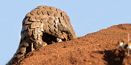 The Boucher Legacy tweet media