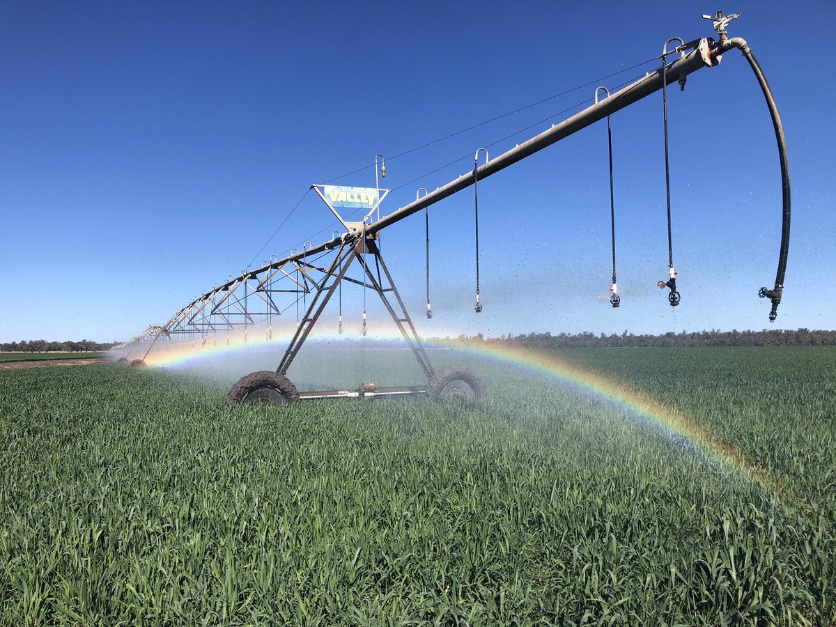 Andrew Speed 🇦🇺 tweet media