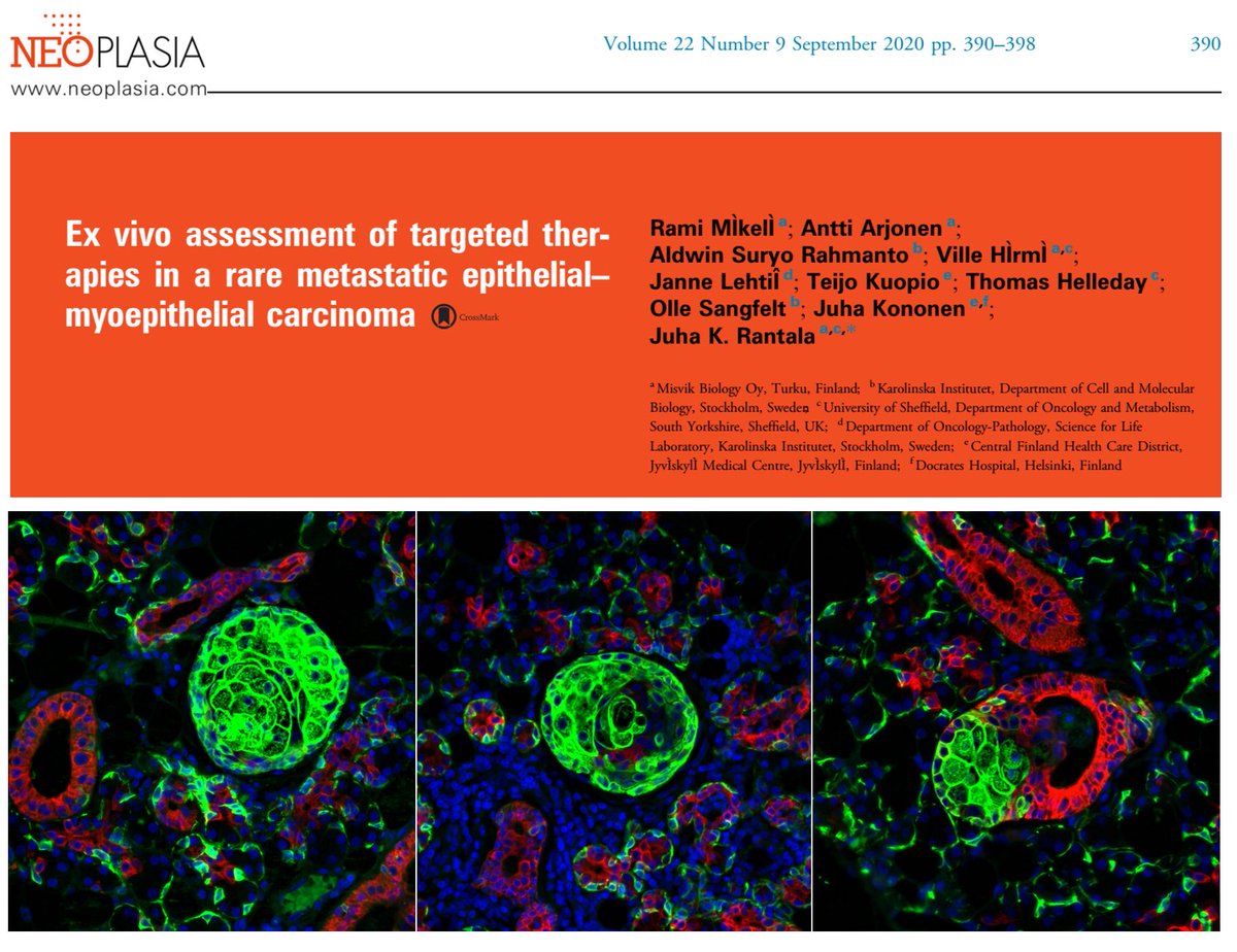 MisvikBiology tweet media