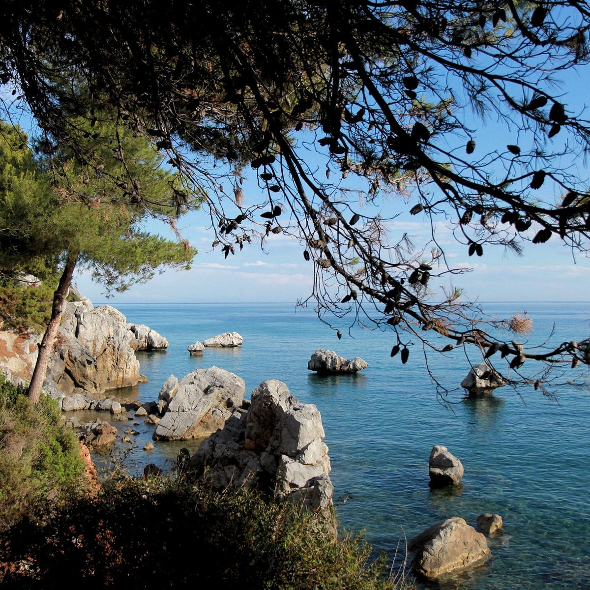 TXLvanLimburg's tweet photo. Collega Samantha bezocht het onontdekte #Halkidiki. De vriendelijke bevolking en het authentieke van dit deel van #Griekenland zorgden voor een heerlijke #vakantie.
Lees haar #reisverhaal op https://t.co/63KGUxnWgs https://t.co/khIyLvuJsG