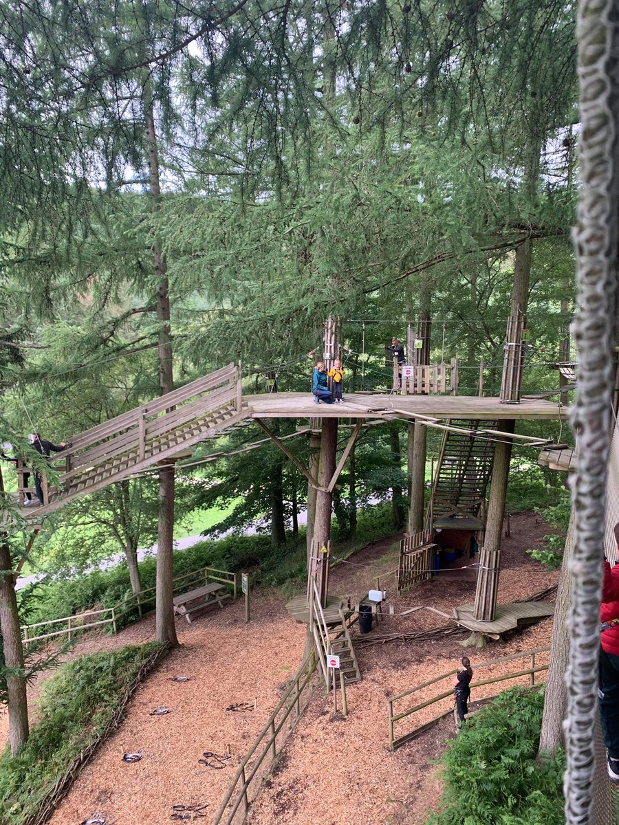 GaynorHarris5's tweet photo. @athersleynp Olivia’s day out at Dalby Forest - Go Ape https://t.co/vJplnSdzQc