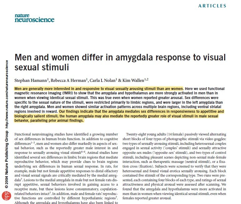 Dalam satu kajian yang diterbitkan pada tahun 2004, disebutkan bahawa lelaki adalah lebih responsif apabila melihat rangsangan seksual, dan perilaku ini mungkin natijah daripada sistem saraf lelaki itu sendiri.