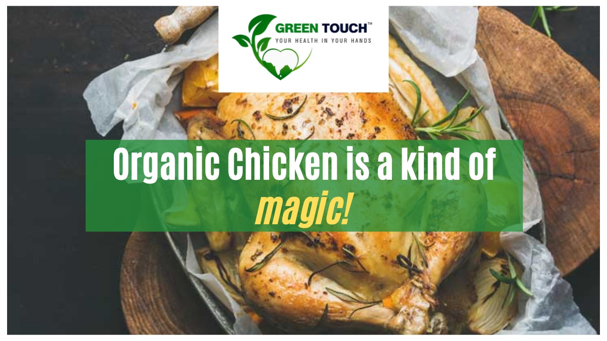 GreenTouch20's tweet photo. Feel young and fit with this tasty magic treat 😋
#organicchicken #highprotein #nutritiontips #greentouch #magic #treats #foodie https://t.co/LuKa9hI5qP