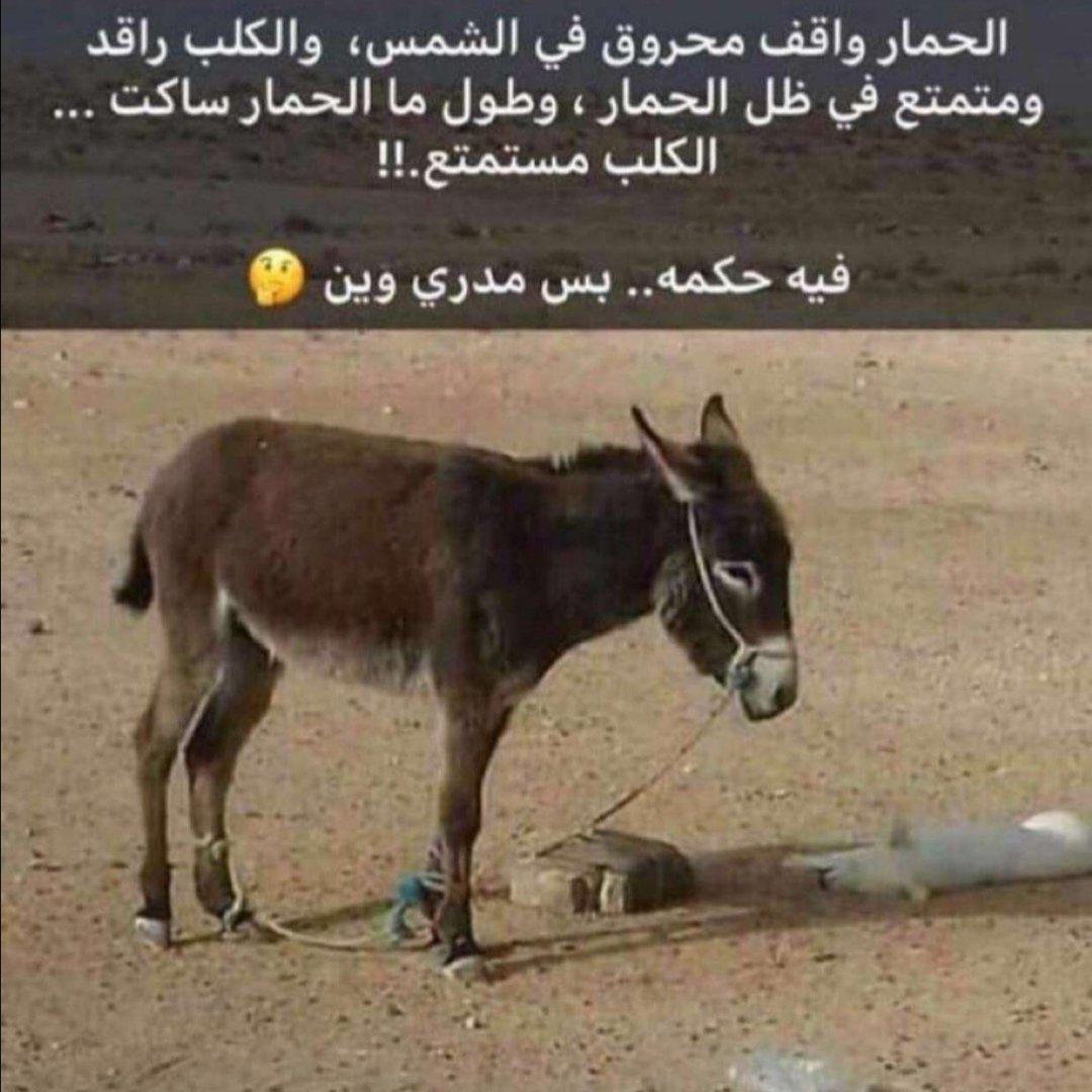 tfj2t's tweet photo. #ارتفاع_نسب_توظيف_السعوديين https://t.co/cwVoEYRUVk