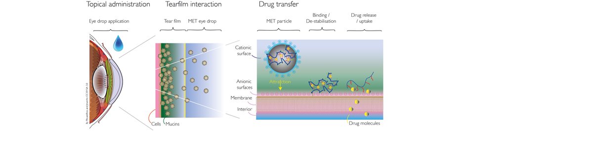 Nanomerics receives pIND guidance from the US FDA for NM134 for the treatment of an undisclosed, potentially sight threatening eye disease. bit.ly/3e8v22C
