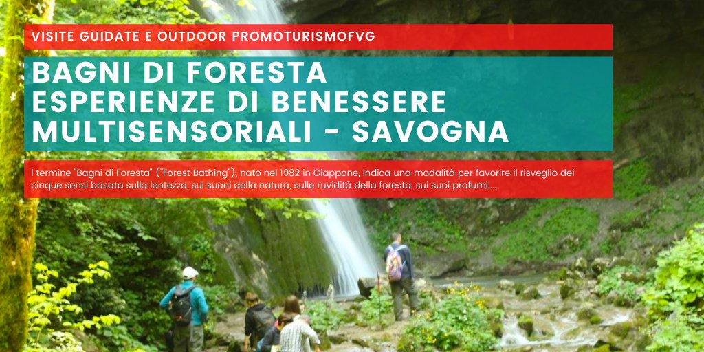 VisitFVG's tweet photo. SCOPRITE le #visiteguidate e attività #outdoor di PromoTurismoFVG 😍 .
Dalle #alpi al #Carso un mondo di opportunità!
Cliccate sul link per scoprire la visita guidata a #Savogna!
Link > https://t.co/0BPfysqBgo
#FVGlive #FVG @regioneFVGit @Italia @BerteroBruno #forestbathing https://t.co/2Sjxkt1TMR