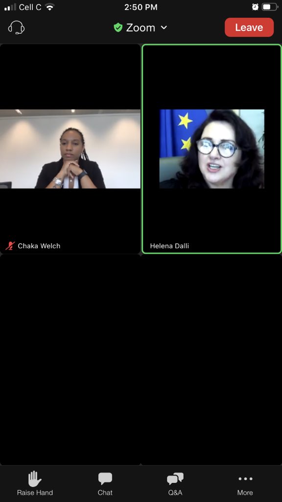 changemakerslab's tweet photo. @dubravkasuica @HirweAdelaide @Childmanifesto @ARDIEuroParl @helenadalli @hildevautmans @EvinIncir @DavidLega @MonicaSilvanaG @helenadalli sharing that no one is born a #racist, it is taught & we need to address this, both from a #structuralbias & #unconciousbias perspective.
“They can be taught to #love” #NelsonMandela #NelsonMandelaDay #Ubuntu #RiseRainbowNation
#EUChildRights https://t.co/NrFCq8f41p