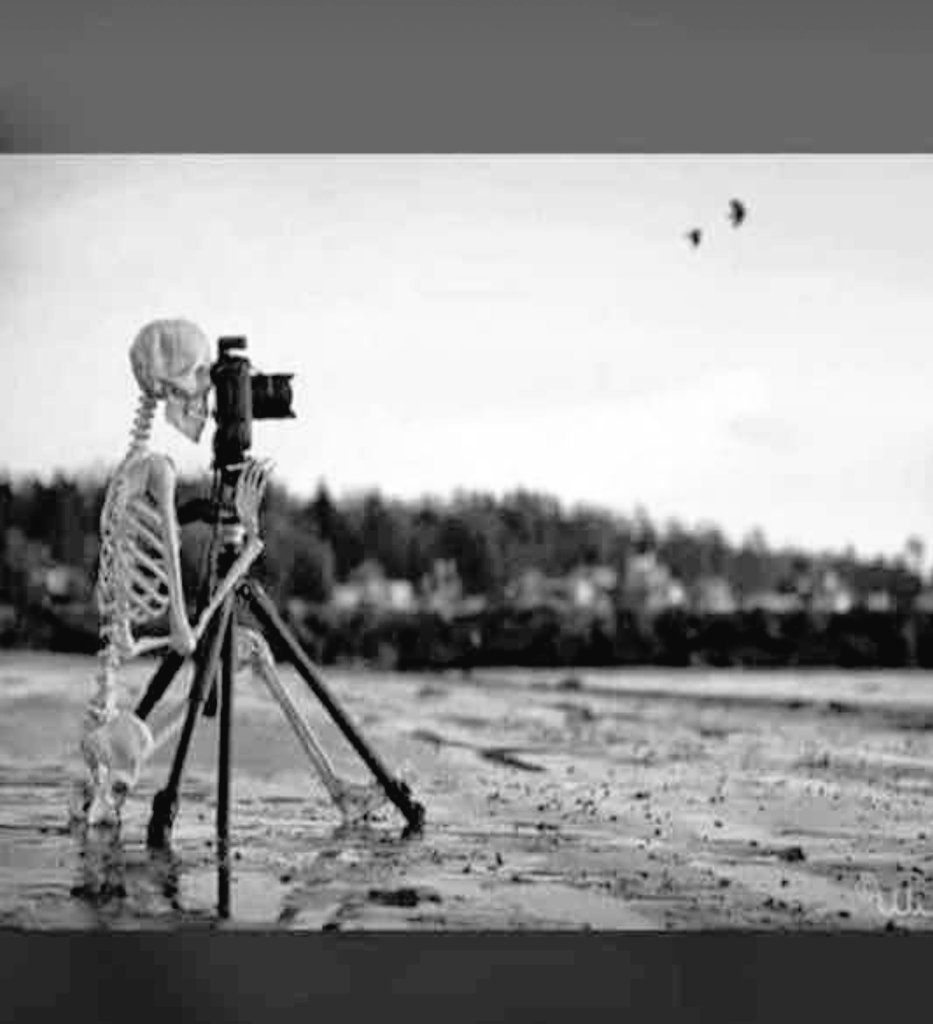 أحيانا ننتظر الفرصه المثالية فنكتشف أن الحياة فاتتنا بأكملها