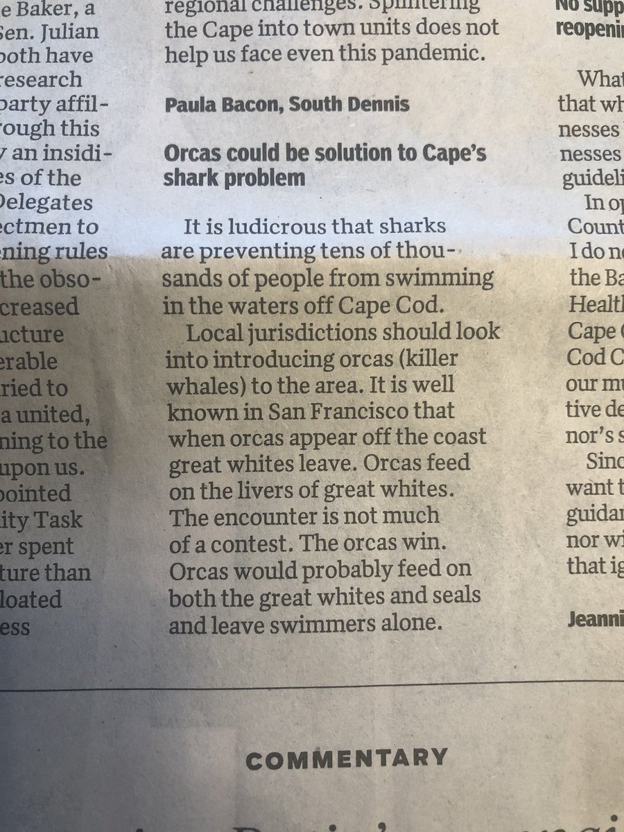 Emily McDermott tweet media