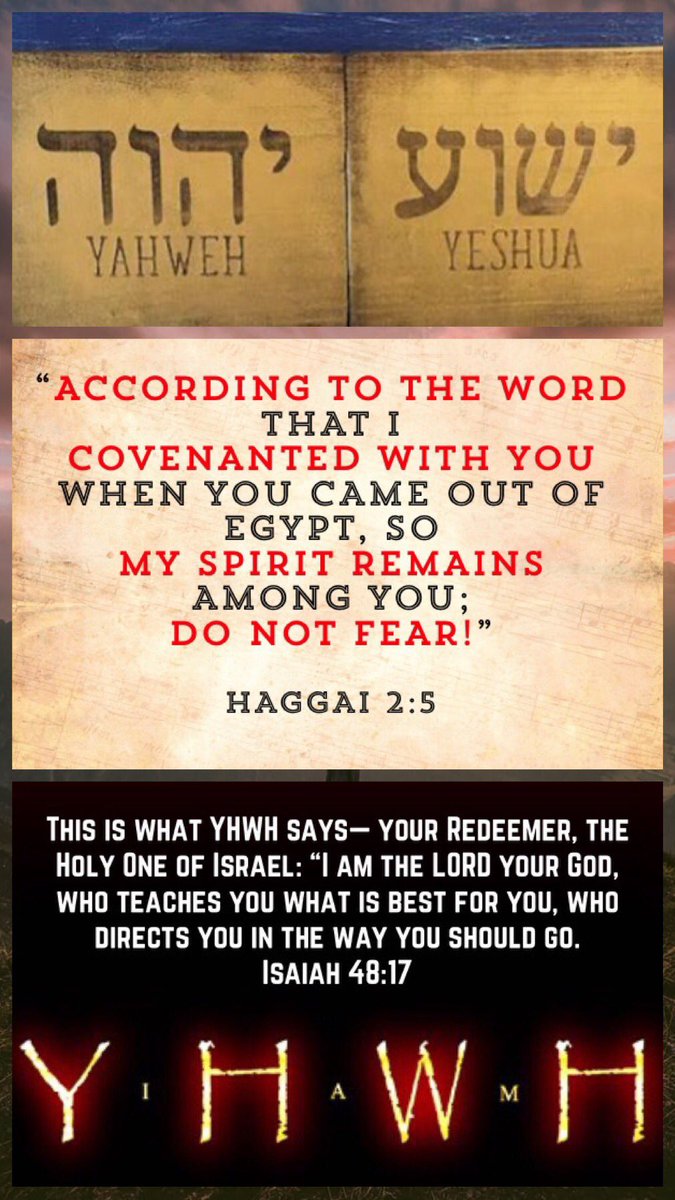 bbbthatsright's tweet photo. Look Up! Are We Paying Attention? What Is God Saying To Us?:

https://t.co/uAQr9kF6D4

#YHWH #Yeshua #Yahweh #Jesus #LookUp #TheWordofGod #PayingAttention #GodSpeaking #Moses #BurningBush #AwakeOSleeper #JesusSaves #GodIsLove https://t.co/i2YLtrwO6o