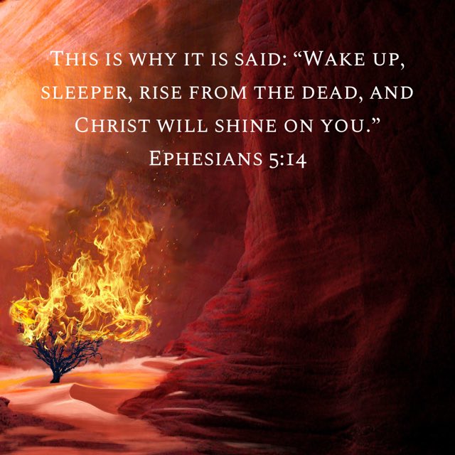 bbbthatsright's tweet photo. Look Up! Are We Paying Attention? What Is God Saying To Us?:

https://t.co/uAQr9kF6D4

#YHWH #Yeshua #Yahweh #Jesus #LookUp #TheWordofGod #PayingAttention #GodSpeaking #Moses #BurningBush #AwakeOSleeper #JesusSaves #GodIsLove https://t.co/i2YLtrwO6o