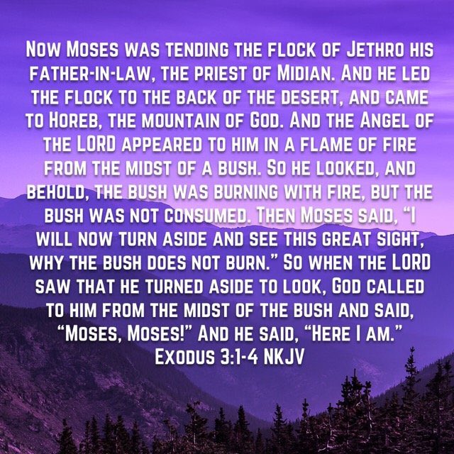 bbbthatsright's tweet photo. Look Up! Are We Paying Attention? What Is God Saying To Us?:

https://t.co/uAQr9kF6D4

#YHWH #Yeshua #Yahweh #Jesus #LookUp #TheWordofGod #PayingAttention #GodSpeaking #Moses #BurningBush #AwakeOSleeper #JesusSaves #GodIsLove https://t.co/i2YLtrwO6o