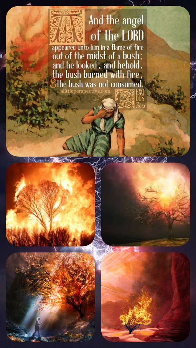 bbbthatsright's tweet photo. Look Up! Are We Paying Attention? What Is God Saying To Us?:

https://t.co/uAQr9kF6D4

#YHWH #Yeshua #Yahweh #Jesus #LookUp #TheWordofGod #PayingAttention #GodSpeaking #Moses #BurningBush #AwakeOSleeper #JesusSaves #GodIsLove https://t.co/i2YLtrwO6o