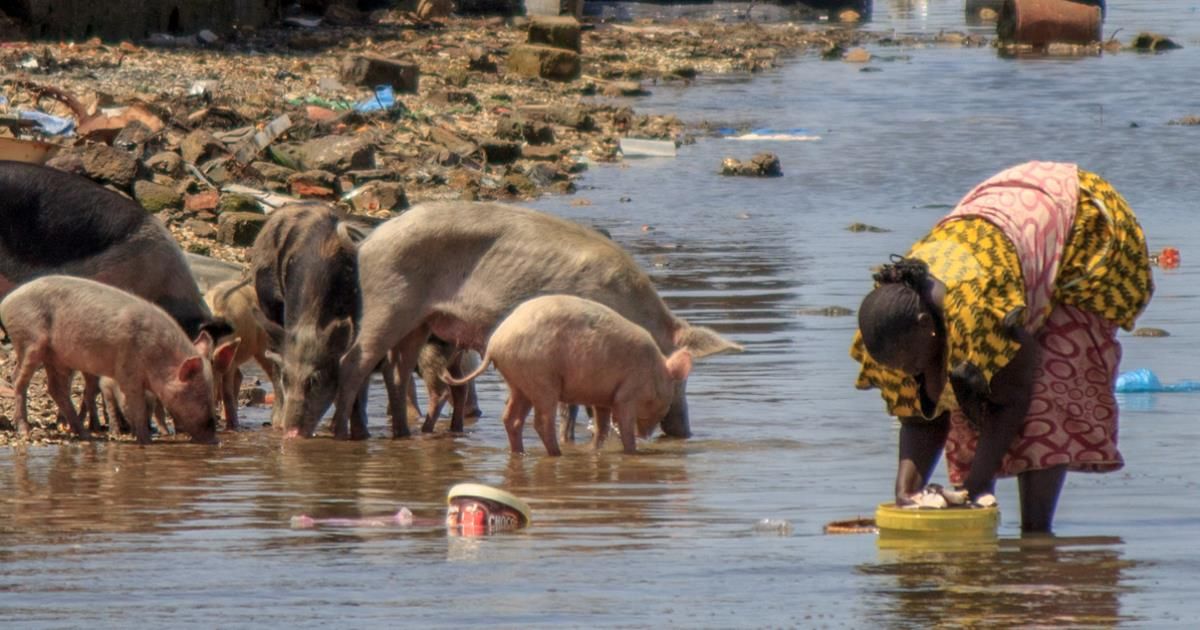 WashDrivers's tweet photo. How important is water quality to livestock?
#Waterquality #agricultural #agriculture #farmers #Washdrivers
https://t.co/sSbOHFIVSr https://t.co/huQjS74iRX