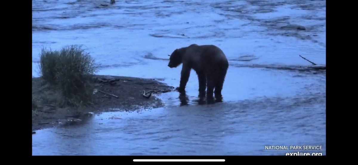 MsShusko's tweet photo. @exploreorg what a great morning! https://t.co/WB2gosY4qm