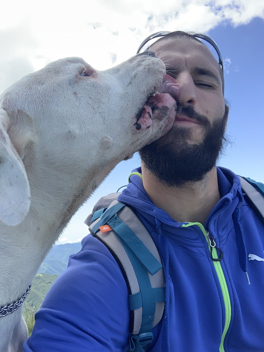 96_fix's tweet photo. L’amore incondizionato 😍❤️🙏🏻 #Draco #dogoargentino #amistad #famiglia #buenavibra #incompagniadelsorriso https://t.co/39iHtiSsi6