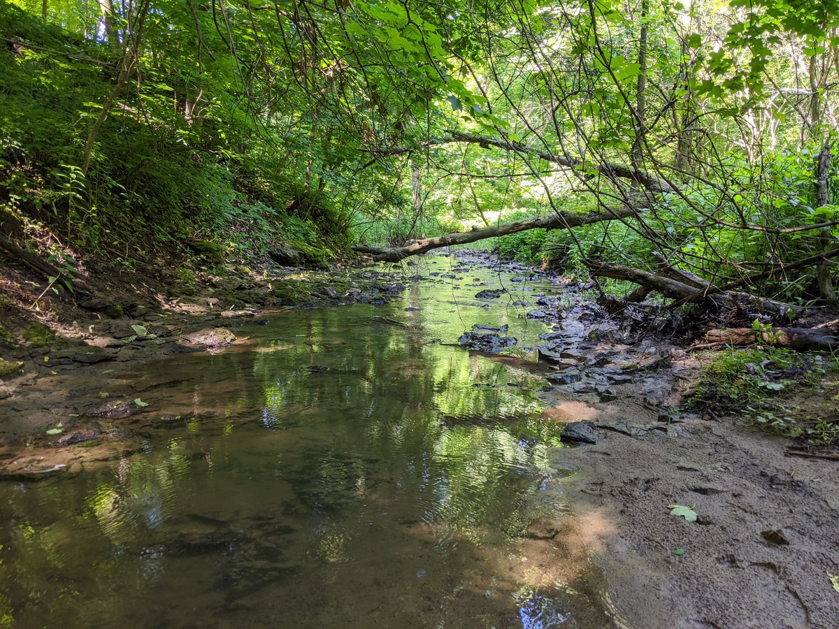 Scenes from Big Grove Preserve! Lots of shade available on a hot summer day. #conservation #GetOutside