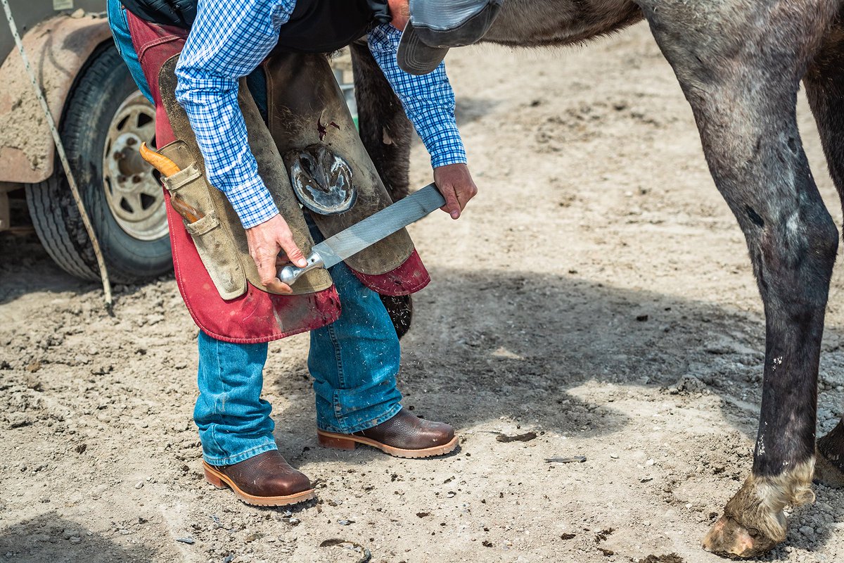 justinboots's tweet photo. Hard work builds character. https://t.co/qWvNigwTQf #JustinBoots #JustinWork https://t.co/g0bohKvsBm