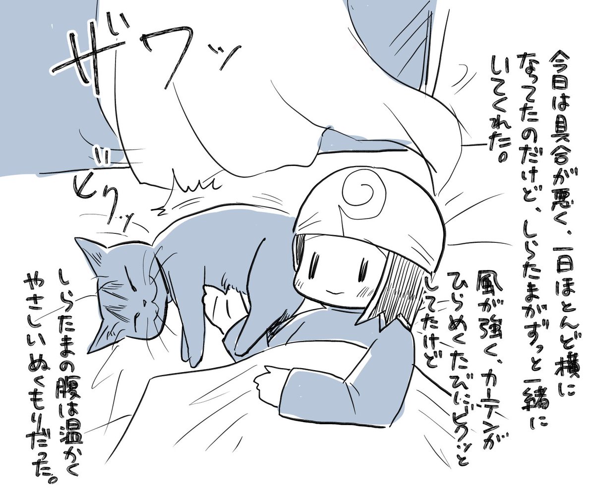 【ヌコ日記】風の強い日だった。 