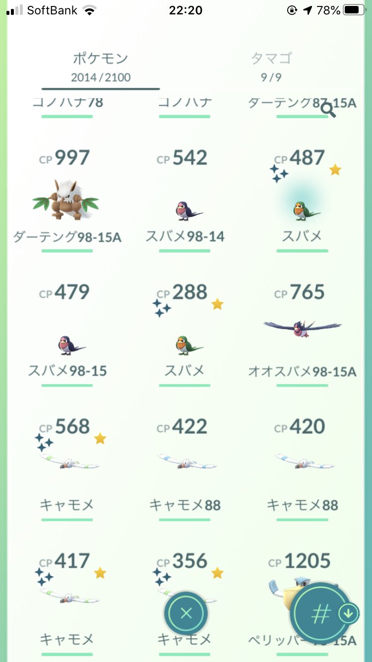 オオスバメ色違い Twitter Search Twitter