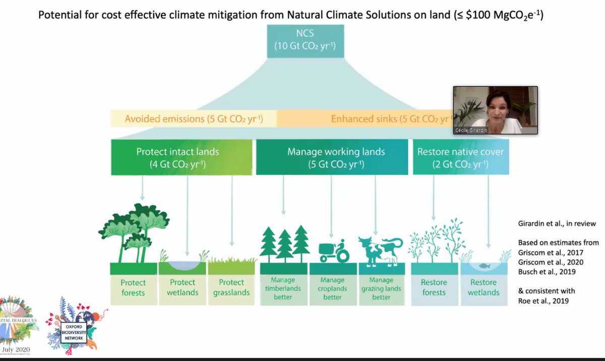 NatureBasedSols's tweet photo. Simplistic headline figures such as nature is '30% of the solution' are misleading. Only a fraction of that results from biological carbon sequestration highlights @cecilegirardin #nbsdigitaldialogues, with ~50% coming from avoided emissions #naturebasedsolutions @ecioxford https://t.co/zjXdmhZuLP