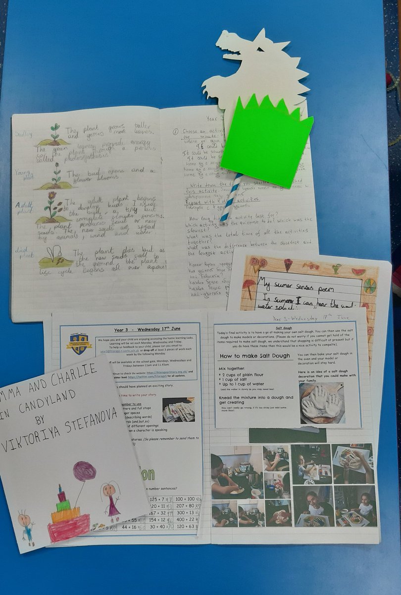 FriarageS's tweet photo. Mrs Robinson would like Viki to recieve a WOW for going above and beyond ith her learning both at home and school. https://t.co/B1TwgPbN4T