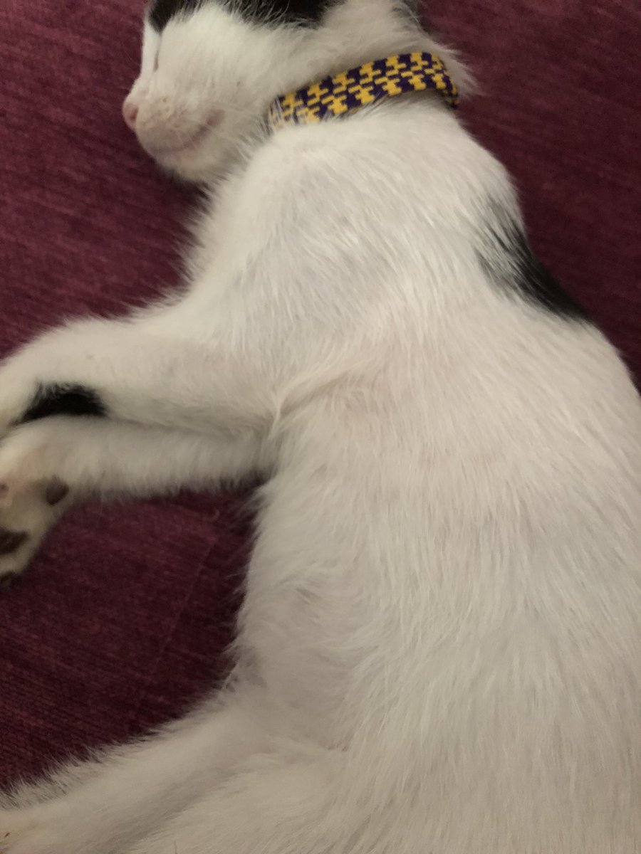 Birinin göbeği var mdhsks