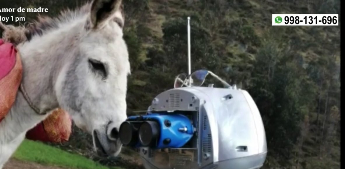 puredesobre's tweet photo. Walter Velásquez es un profesor de Huancavelica que ha creado un robot que habla quechua. Se llama 'Kipi' y va a las comunidades más alejadas de esa región para impartir las clases de #AprendoEnCasa porque no hay Internet. Funciona con luz solar y por medio de una app. 

🥺 🥺 https://t.co/EbsJctOy8L