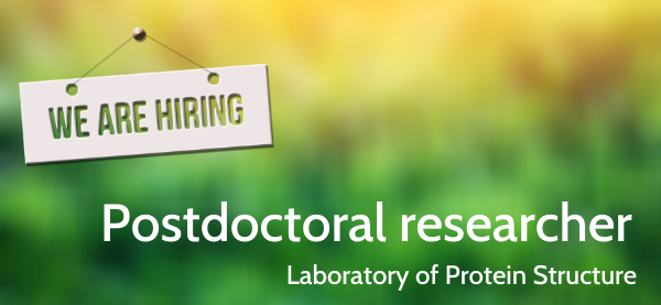 IIMCB_Poland's tweet photo. The Laboratory of Protein Structure at #IIMCB, headed by Prof. Marcin Nowotny is looking for a Postdoctoral Researcher.
📆 Deadline for applications: August 27, 2020.
📍 More info: https://t.co/cRJnufRa7L
#JobOffer #IIMCB #FNP #postdoc #researcher #job #MarcinNowotny #NowotnyLab https://t.co/sRCCXGrk21