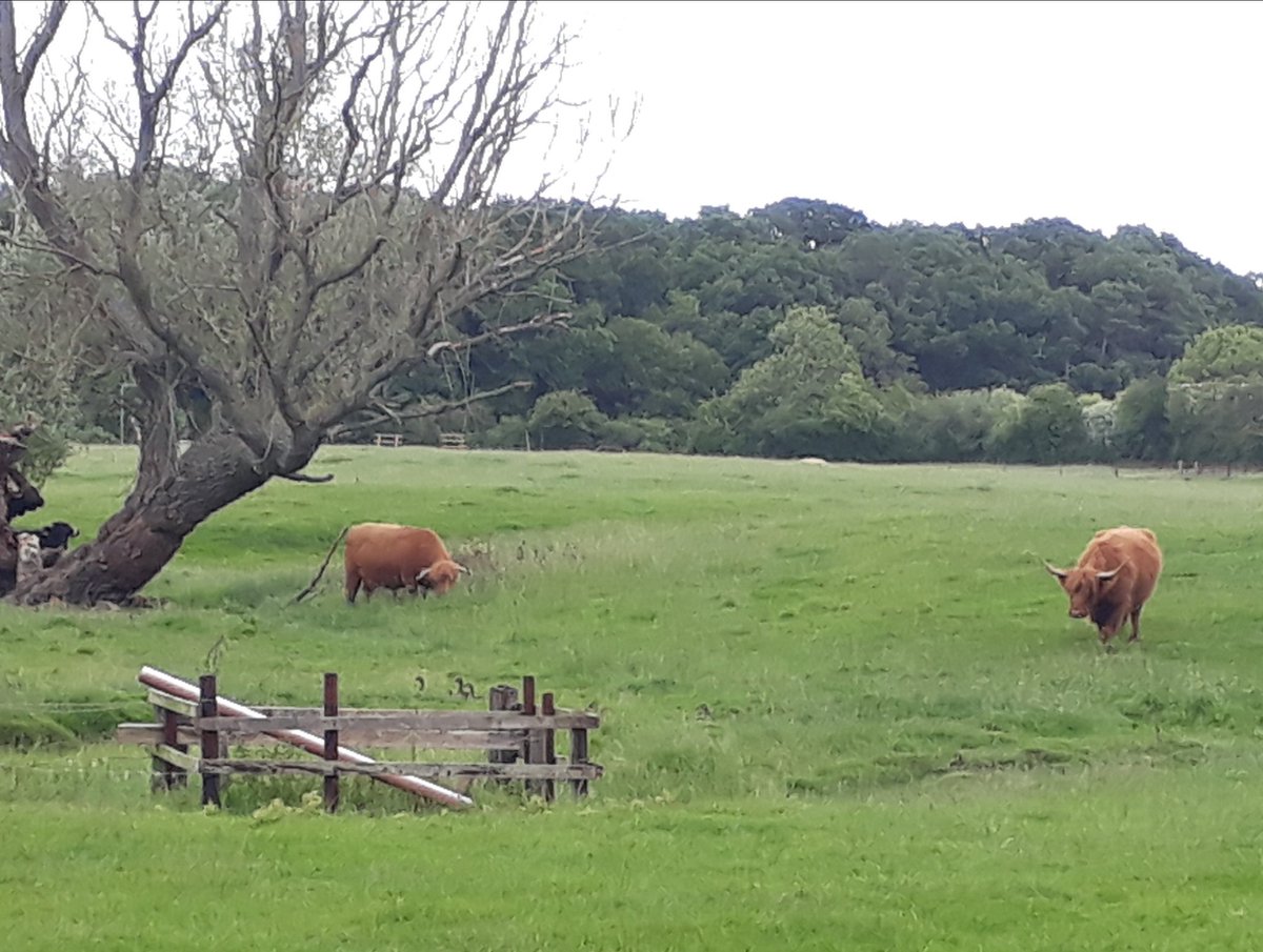 Around Harborough (@aroundharborou1) on Twitter photo 