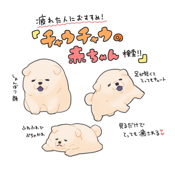チャウチャウのtwitterイラスト検索結果 古い順 チャウチャウのtwitterイラスト検索結果 古い順