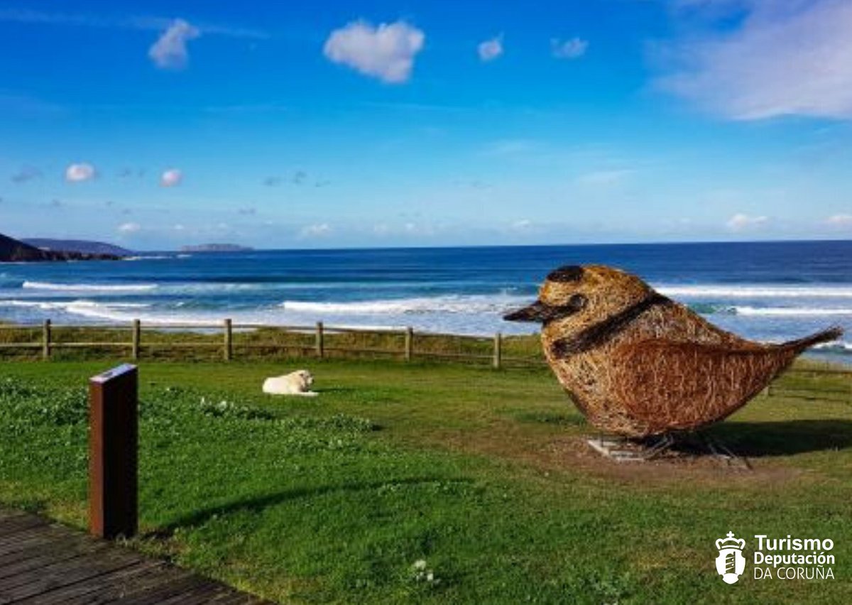 DACTurismo's tweet photo. "Yo ❤️ Razo-Baldaio" é o novo programa de actividades da costa carballesa que pretende crear hábitos de #turismoconsciente no litoral. Entra aquí para ver a programación dos próximos días
ℹ️ https://t.co/AhrLMvP3ig #RazoBaldaio @TurismoCarballo #pillaradasdunas https://t.co/T6F45ddC9m