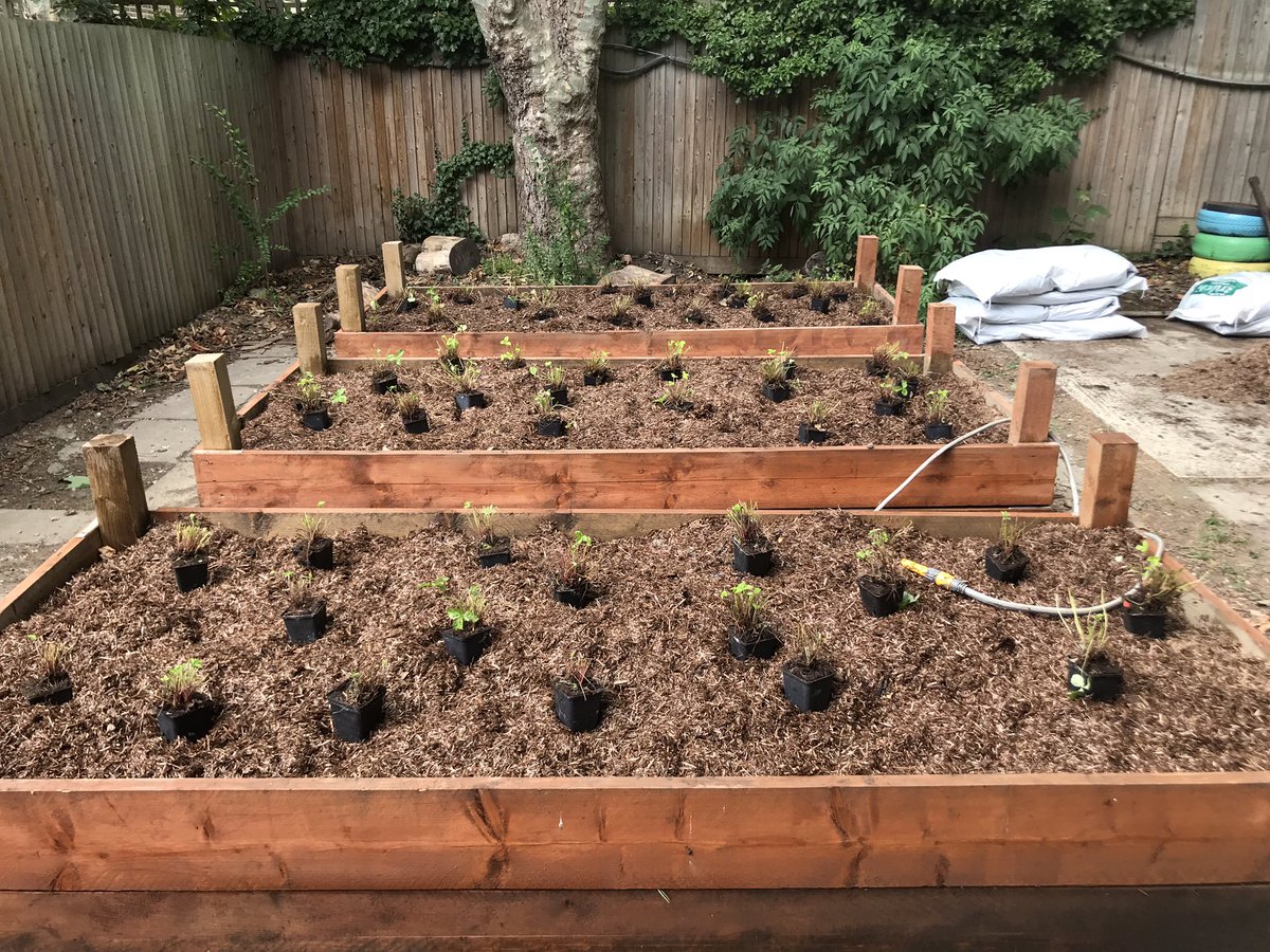 ACAVANorthKen's tweet photo. Flourish in the Forest begins today in the Maxilla Garden - thanks to @HandsOnLondon_ @idverde_GDT for all your hard work to get the space ready for our #families &amp; to @PremiumPlants for donating the herbs &amp; strawberries 🍓 https://t.co/wRBMJy28bg