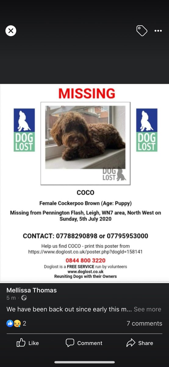 AcCollo69's tweet photo. @RadioCityLeanne can you please RT to get coco home xx https://t.co/umeT5YGBtz