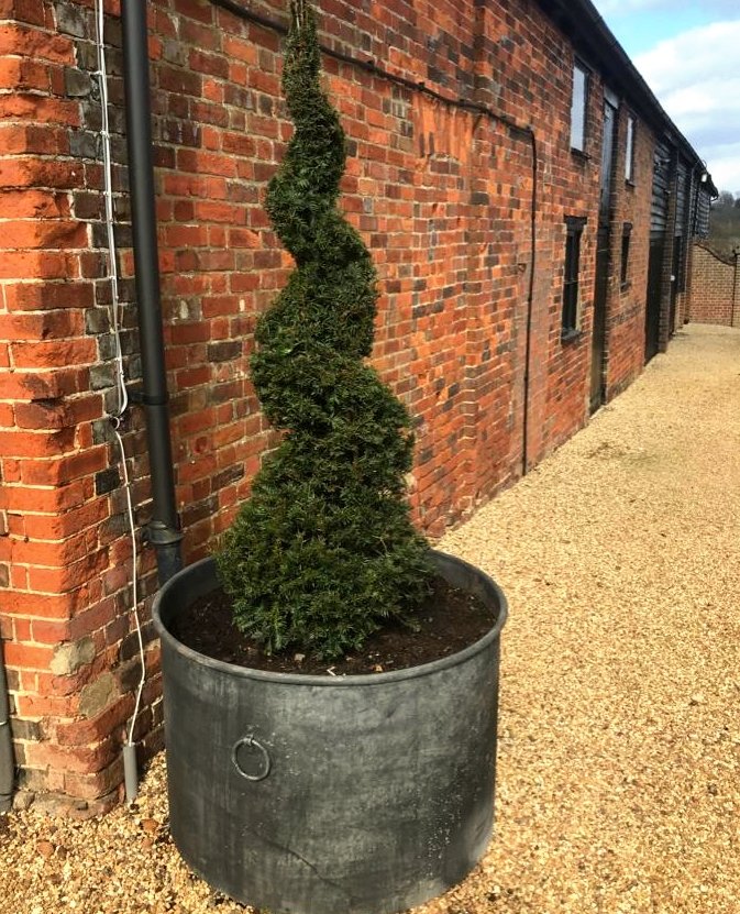 ttc_ironwork's tweet image. ⭐STEEL PLANTER⭐

Our large mild steel planters have a weathered lead effect. They are made from handmade using British Steel ensuring that they last for generations to come.

#planters
#steelplanters
#leadeffect
#gardendesign
#garden
#gardensofinsta
#thetraditionalco