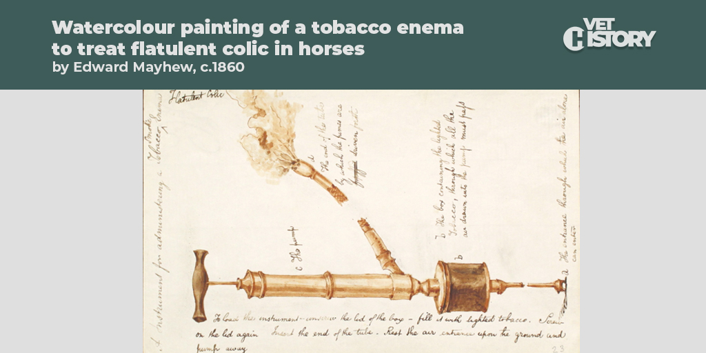 RCVSKnowledge's tweet image. Here’s a #vetarchives highlight: a Watercolour painting of a tobacco enema to treat flatulent colic in horses, by Edward Mayhew, c.1860

Explore the paintings in more detail:  rcvsvethistory.org/8-the-abdomen-… @Equine_History