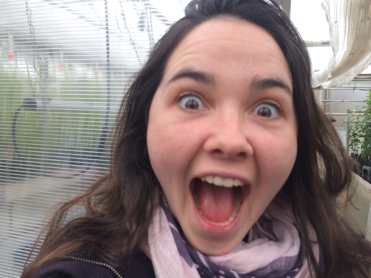 Fashionably late with announcements: we're sticking around for another 3 years to continue supporting agroecological seed production, celebrate our seed diversity, train growers, and generally get very excited about seed with you! seedsovereignty.info/celebrating-se… (1/3)