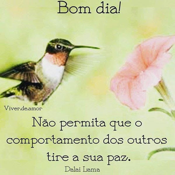 Espiritismo Brasil Chico Xavier on Twitter: Espiritismo Brasil Chico Xavier on Twitter: