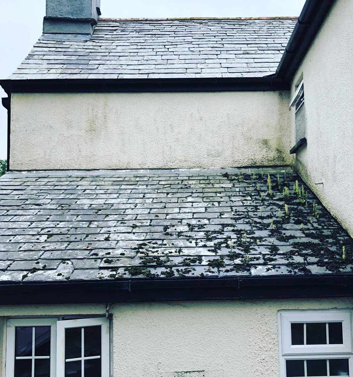property_rosa's tweet photo. Moss and weeds can wreck havoc on tiles, time for a clean up for one of our customers 💪 #RosaPropertyCare #homedecore #SpringClean #Fresh #TrustedTrade #Tyrolean #CornwallTrade
#ExternalWorks
#Plastering #LoveLocal #LoveLaunceston #Paint #painting #decorating #RPC https://t.co/i3hE46XsCA