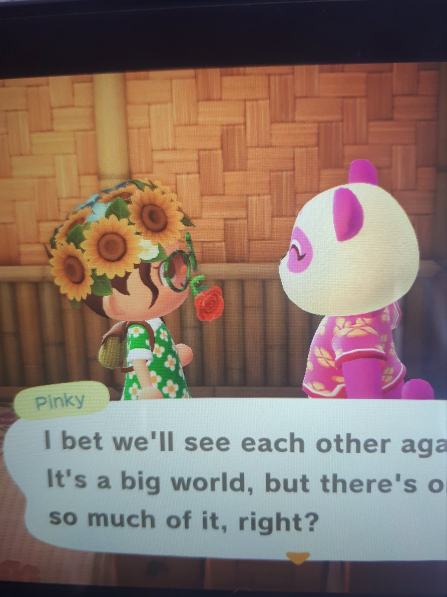 Jadeee95x's tweet photo. Pinky is in boxes if anyone wants her! #AnimalCrossingNewHorizions #villagerinboxes #acnh https://t.co/KT2kHhAJyM