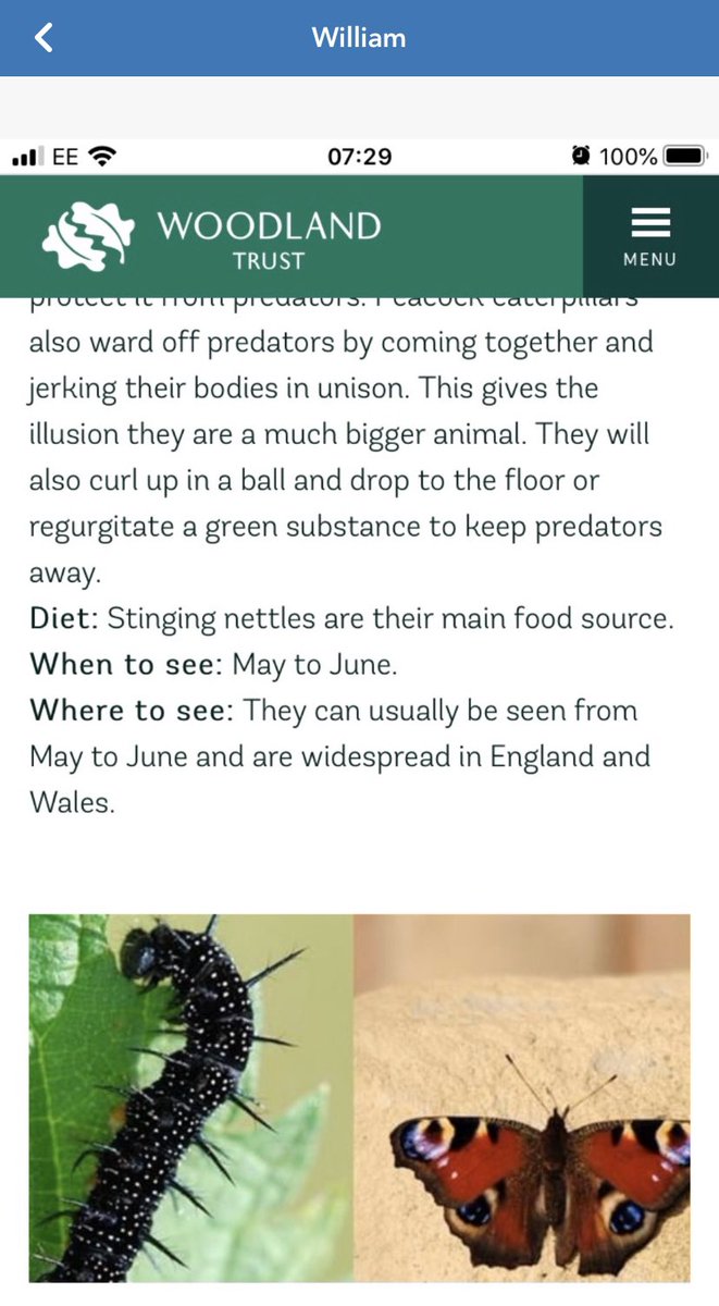 More caterpillar research from William and James. Keep them coming.