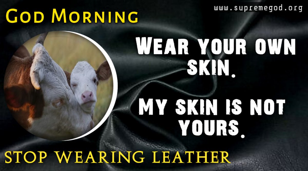 RajendraKumarW8's tweet photo. #GodMorningTuesday

Ban Leather
फैशन के शौकीनों के लिए न जाने कितने जानवरों की कुर्बानी दी जाती है। इन सब पर रोक लगानी होगी। https://t.co/LFJzVnmPWj