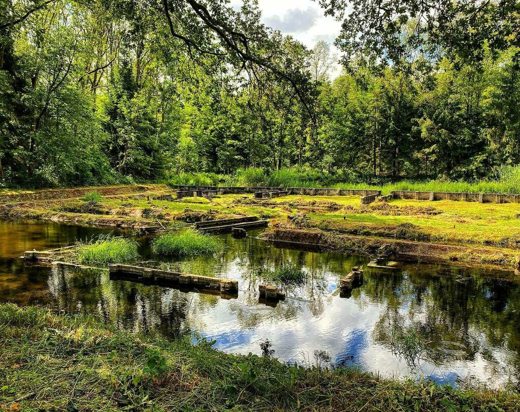 JokeTravel's tweet photo. Een van de oude opstellingen van het Waterloopkundig Laboratorium dat terug gegeven wordt aan de natuur en nu Waterloopbos heet.
🇳🇱
🇳🇱
🇳🇱
#waterloopbos #flevoland #flevolandschap #natuur #natuurfotografie #natuurfotografie_nl #nederland_ontdekt #nederlan… https://t.co/GPgcatA8DY https://t.co/ce1KSgP3TB