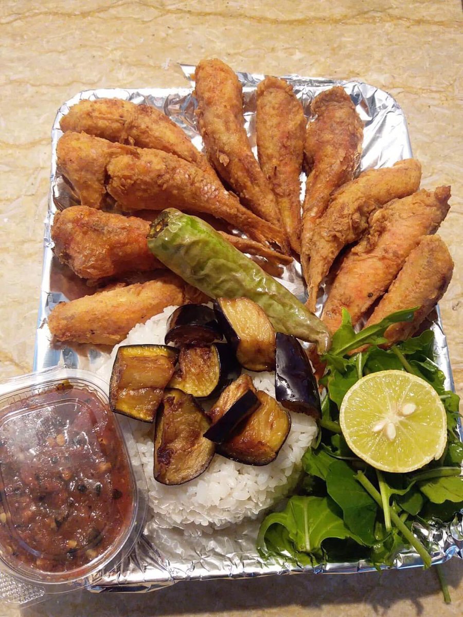 quickdelivery3's tweet image. اطلب الأن من مطبخ الروبيان للأسماك 
 ☎️ 0944384041 ☎️ 
كما يتوفر خدمة توصيل الطلبات لأي مكان داخل بنغازي 
وجبه تريليا 25 د
وجبه قاجوج 30 د
وجبه قاروص 25 د
وجبه جمبري 50 د
وجبه مشكل 65 د
شربة فواكه بحر 20 د
بلعون شارع كافي بكرج