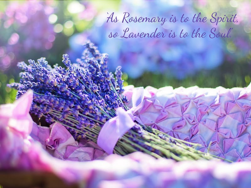 Our latest newsletter is out if you want a peek! No email needed! If you wanted to subscribe there is a link at the bottom :) ckarchive.com/b/0vuwh9hqdemv #tbch