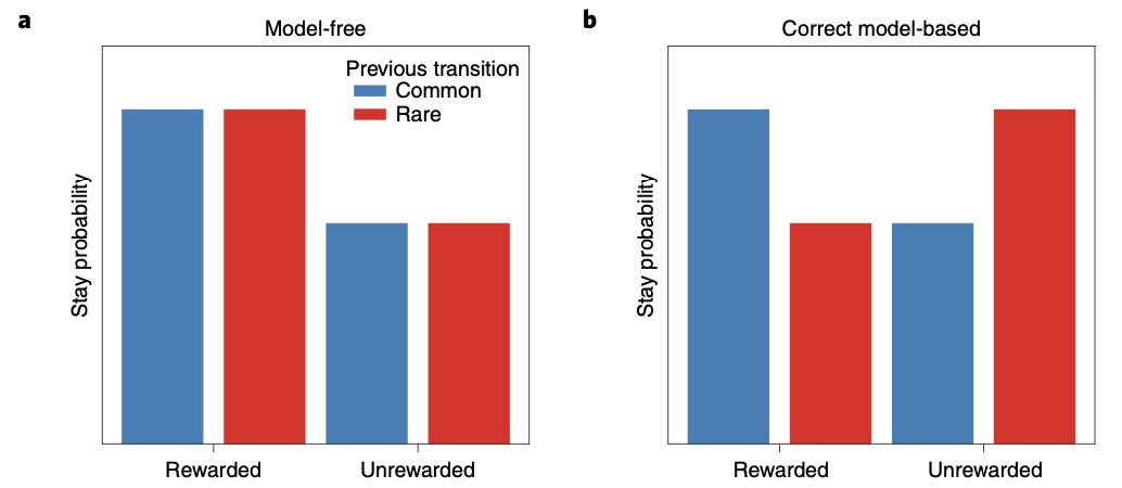 In contrast, MB agents use their understanding of the probabilistic transition structure of the task to guide their actions. Thus, MF agents show a main effect of reward and MB agents are characterized by reward X transition interactions.