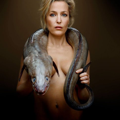 All this talk of Sexy Fish has reminded me of the GREATEST campaign of all time: FishLove. Celebs posed with dead fish to raise awareness of the dangers of overfishing. I’ll start with Gillian Anderson and a large conger eel...