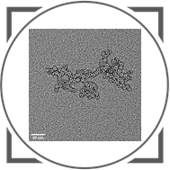Quorum_UK's tweet photo. Quorum are pleased to invite you to the fourth in our series of webinars on the 15th of July 10.30 am GMT: Glow discharge in sample preparation - a treatment not only for TEM! We look forward to you joining us.
https://t.co/yqI4weiXNm https://t.co/ZpHLWxR4ic