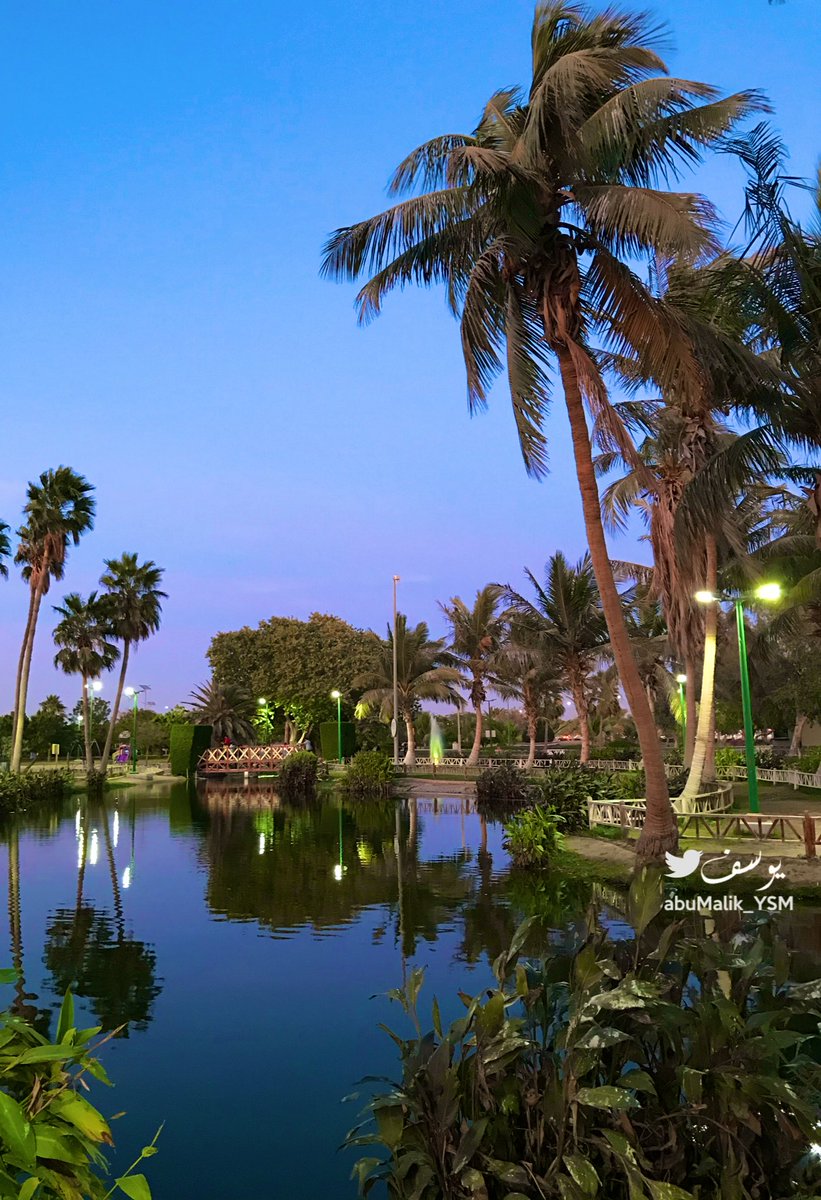 YOUSSEF✨ tweet media